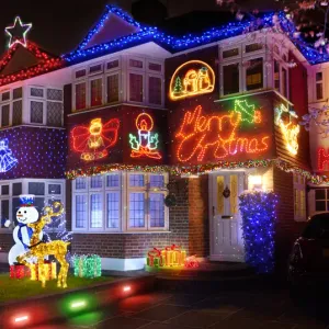 ball ground christmas lights display