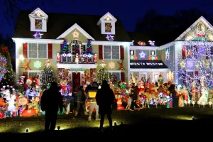 Tree Wrapping & Landscape Lighting