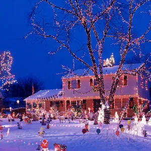 berkeley lake christmas lighting