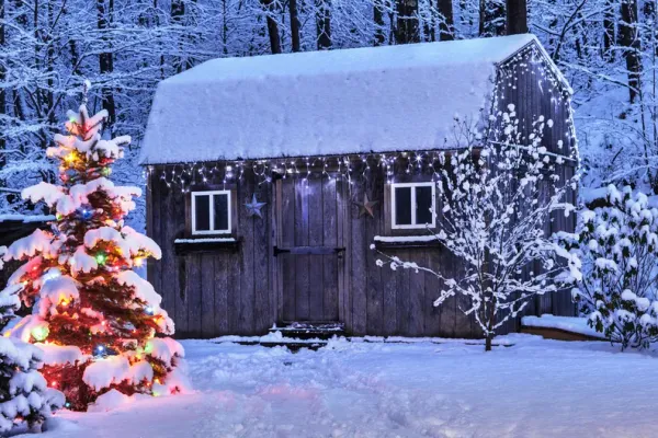 Christmas lights installation services in Roswell, GA