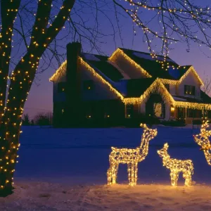 historic roswell christmas lighting