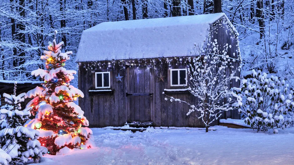 Christmas light installation services in Roswell, GA
